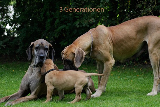 3 Generationen